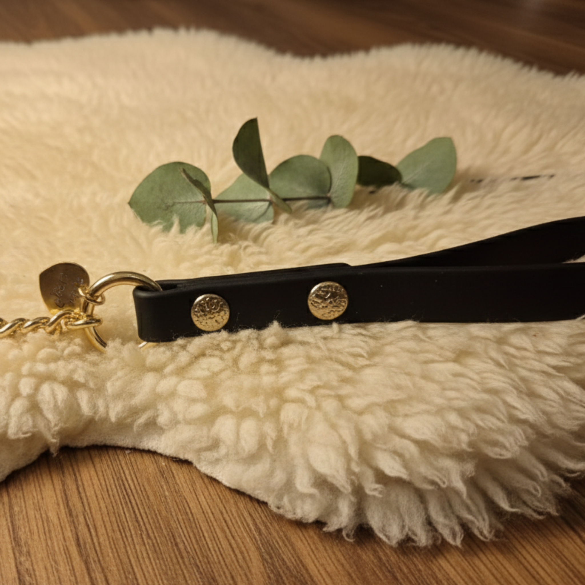 Guinzaglio in Acciaio e Biothane Chain Lead per Cani